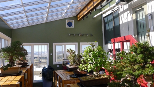 Greenhouse Effect