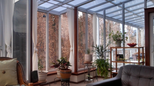 Greenhouse Effect